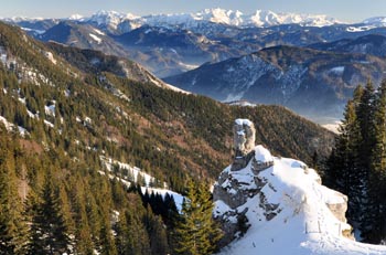 Hochwald in den Alpen
