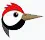 Spechtlogo